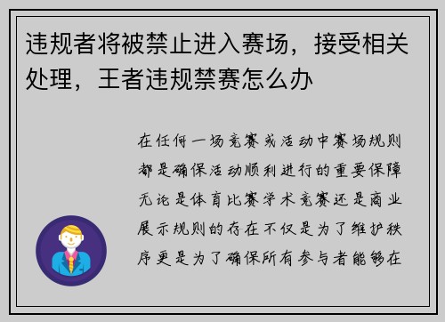 违规者将被禁止进入赛场，接受相关处理，王者违规禁赛怎么办