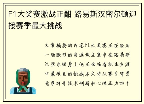 F1大奖赛激战正酣 路易斯汉密尔顿迎接赛季最大挑战
